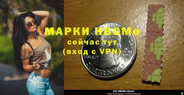 крисы Слюдянка