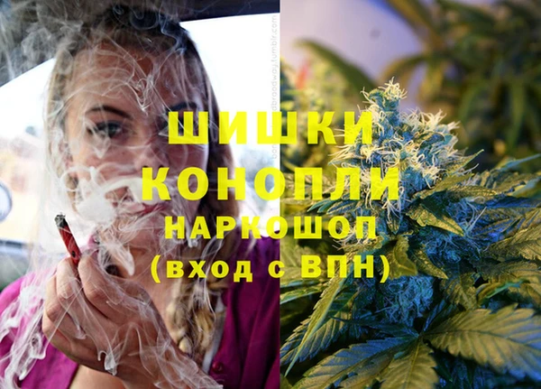 крисы Слюдянка
